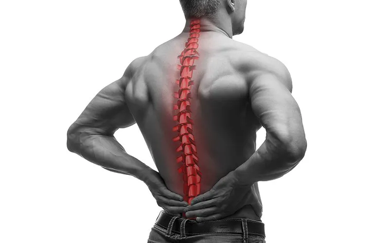 Vertebrae adjustment Vertebrae adjustment